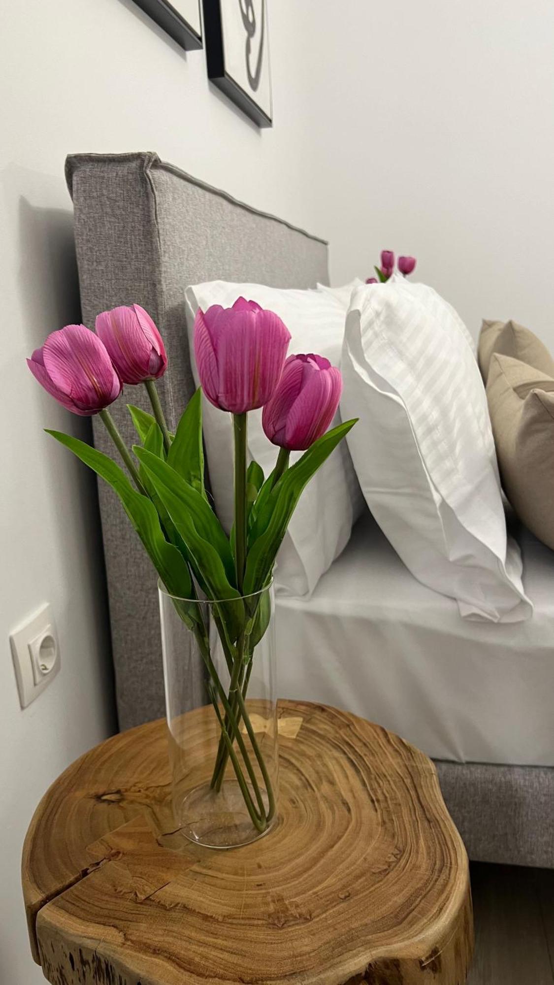 אלכסנדרופולי Sias Apartment מראה חיצוני תמונה